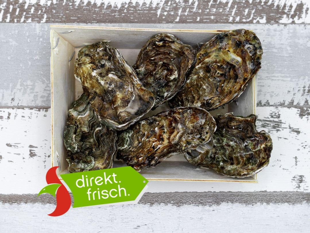 Austern auf Eis