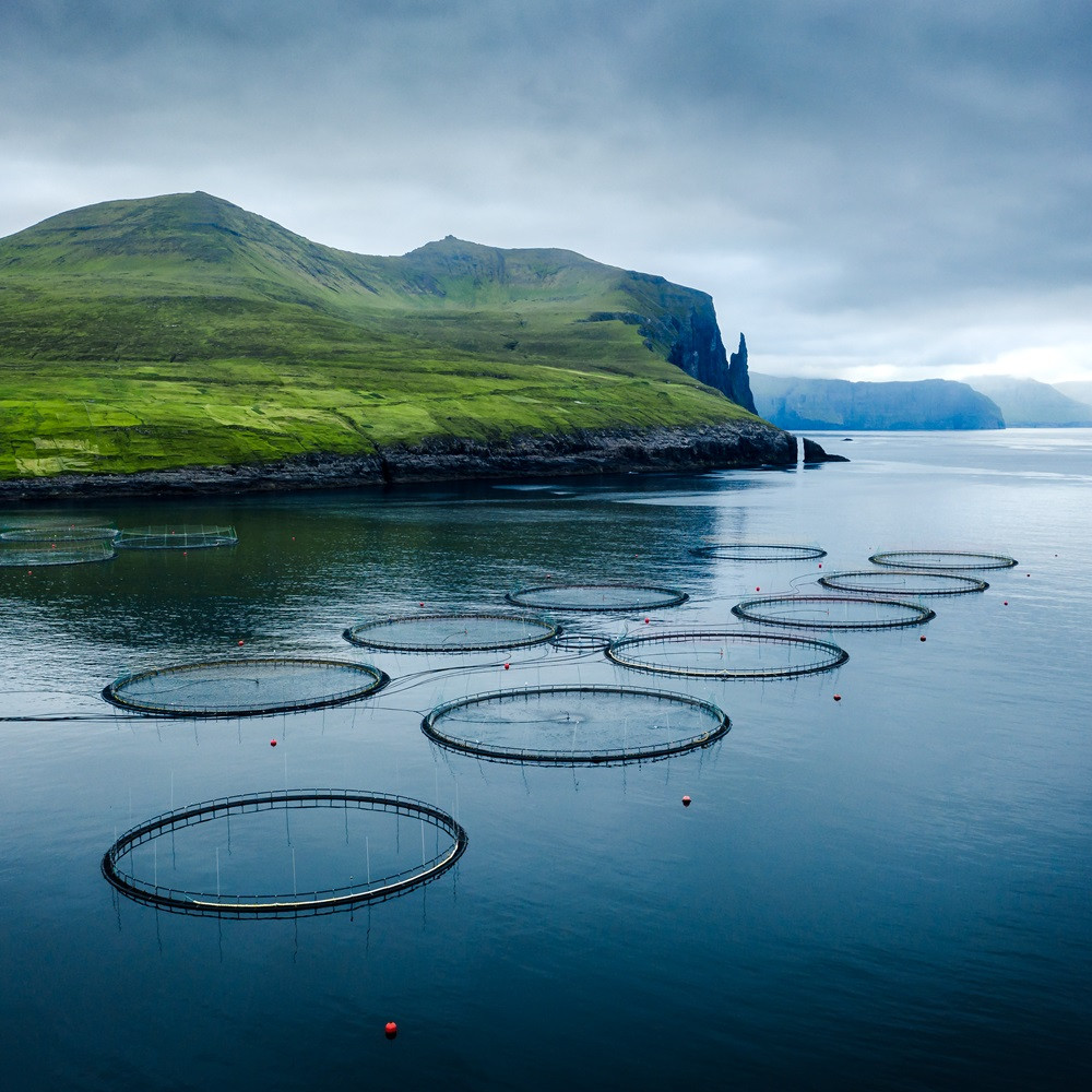 Aquakultur Faeroer Inseln
