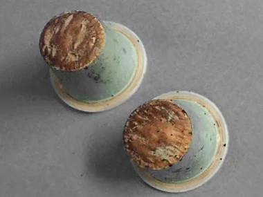 Sourcer Wild 0 Wochen Sourcer Wild 0 Wochen