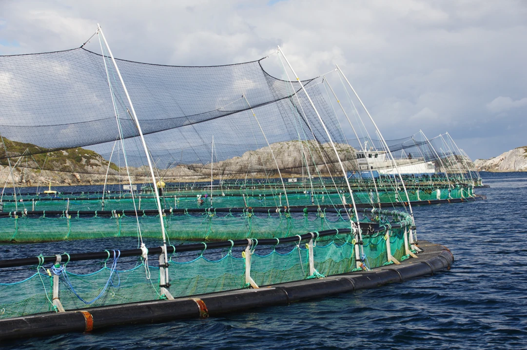 Lachsfarm Norwegen