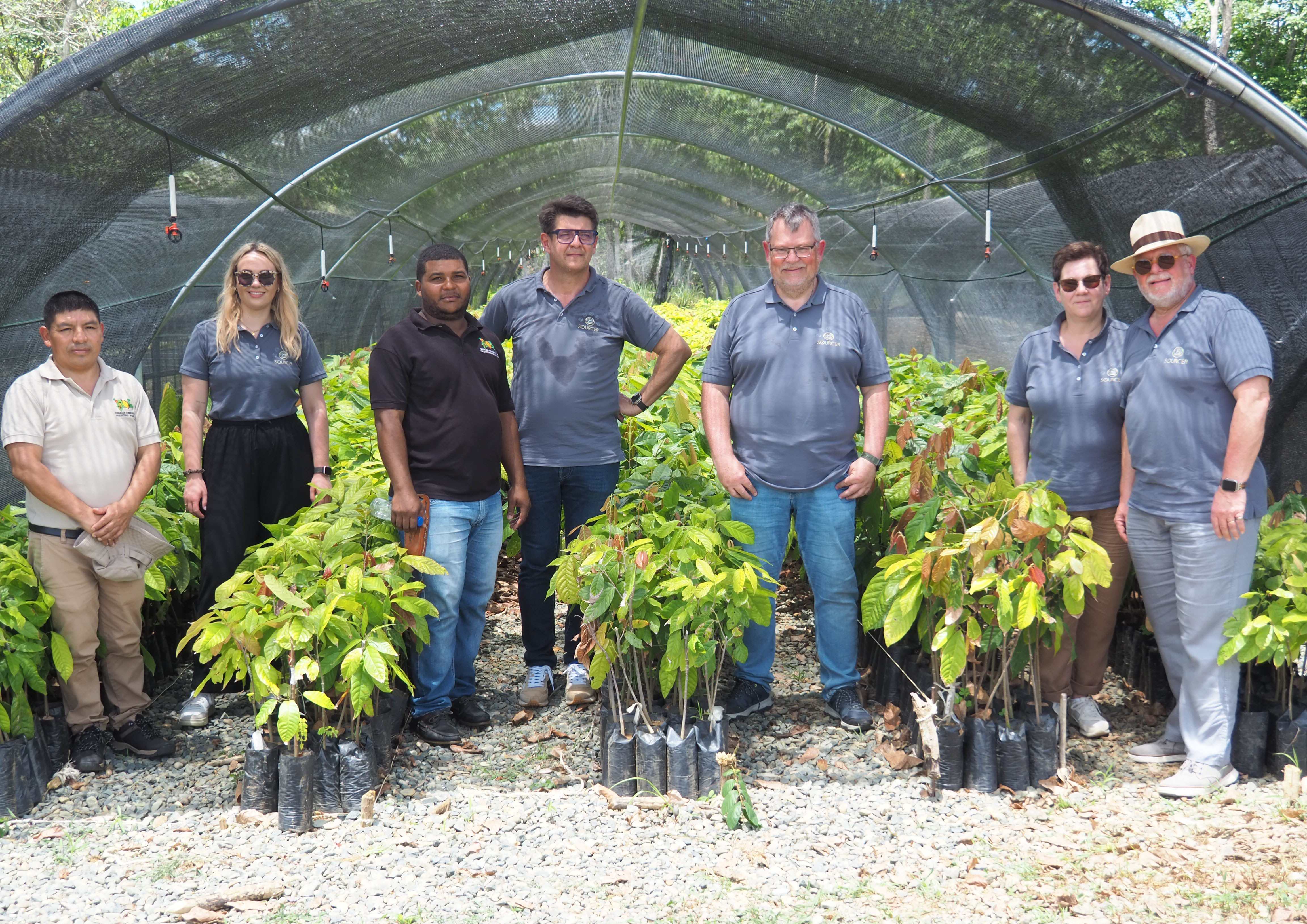 Sourcer Kakaopflanzen Sourcer Kakaopflanzen