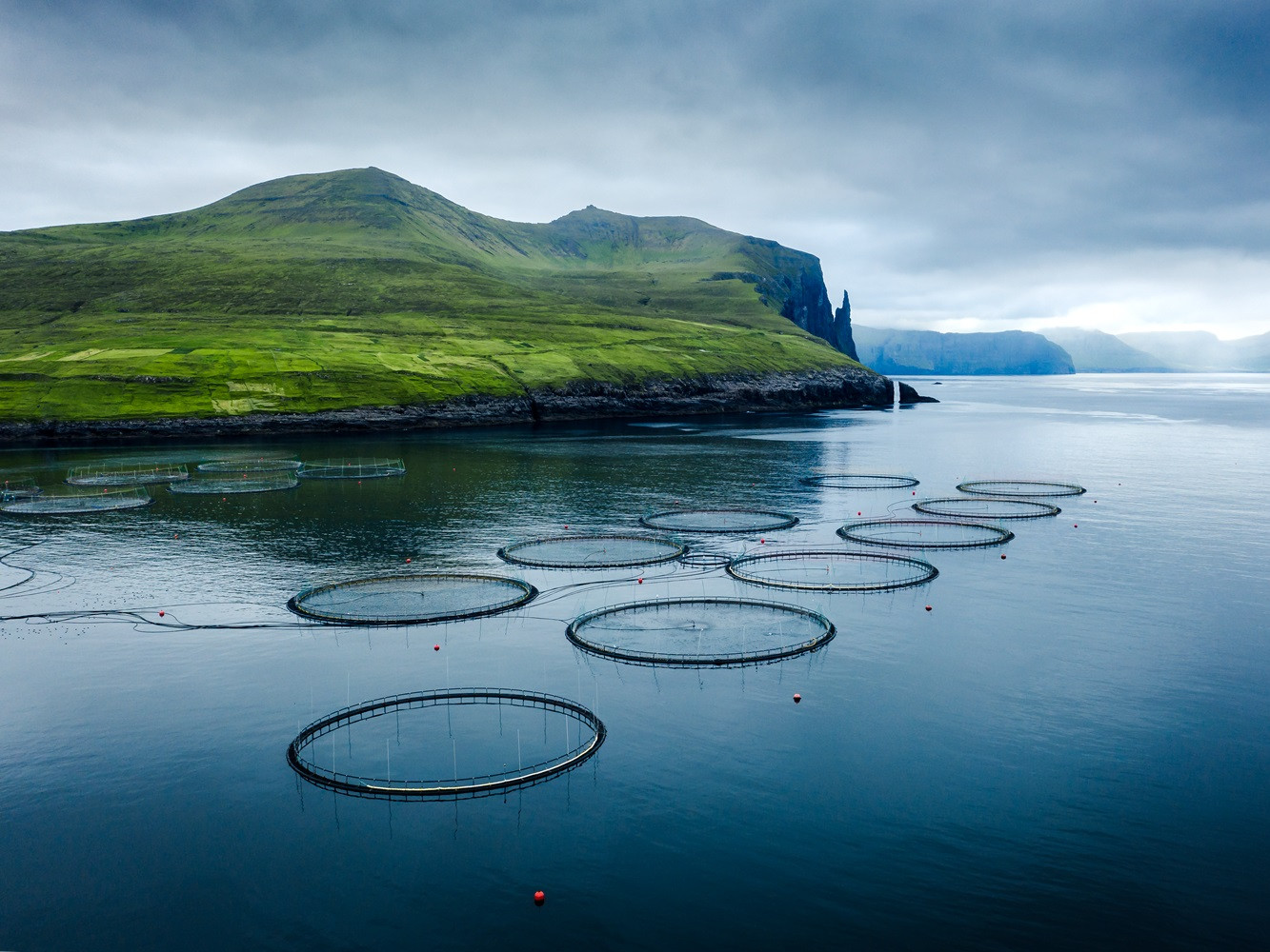 Lachsfarm vor den Farooer Inseln