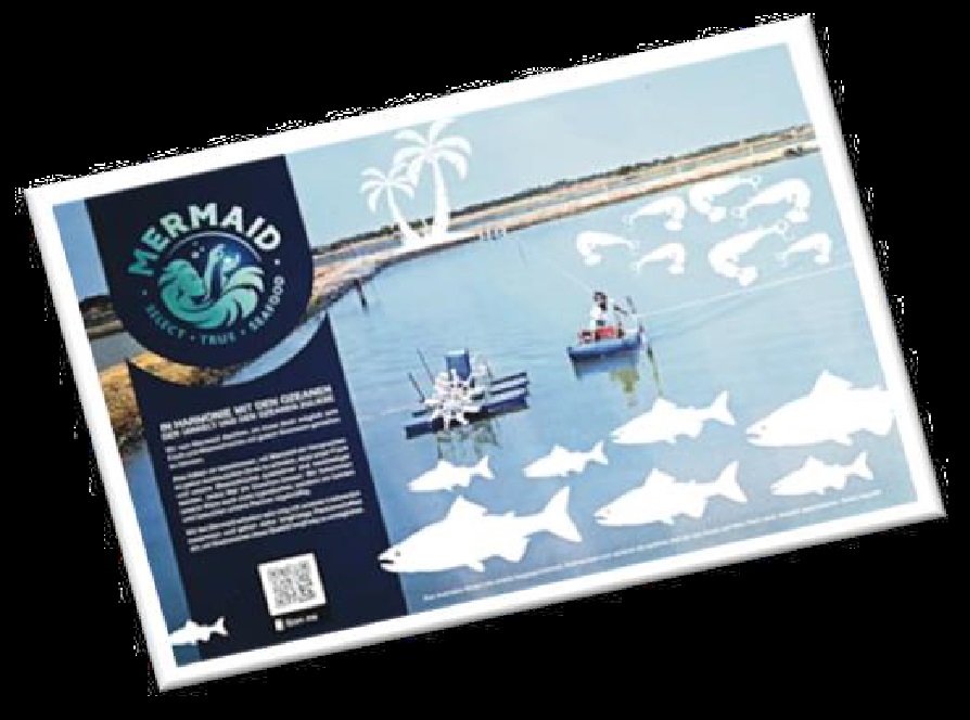 Mermaid Tischset Mermaid Tischset