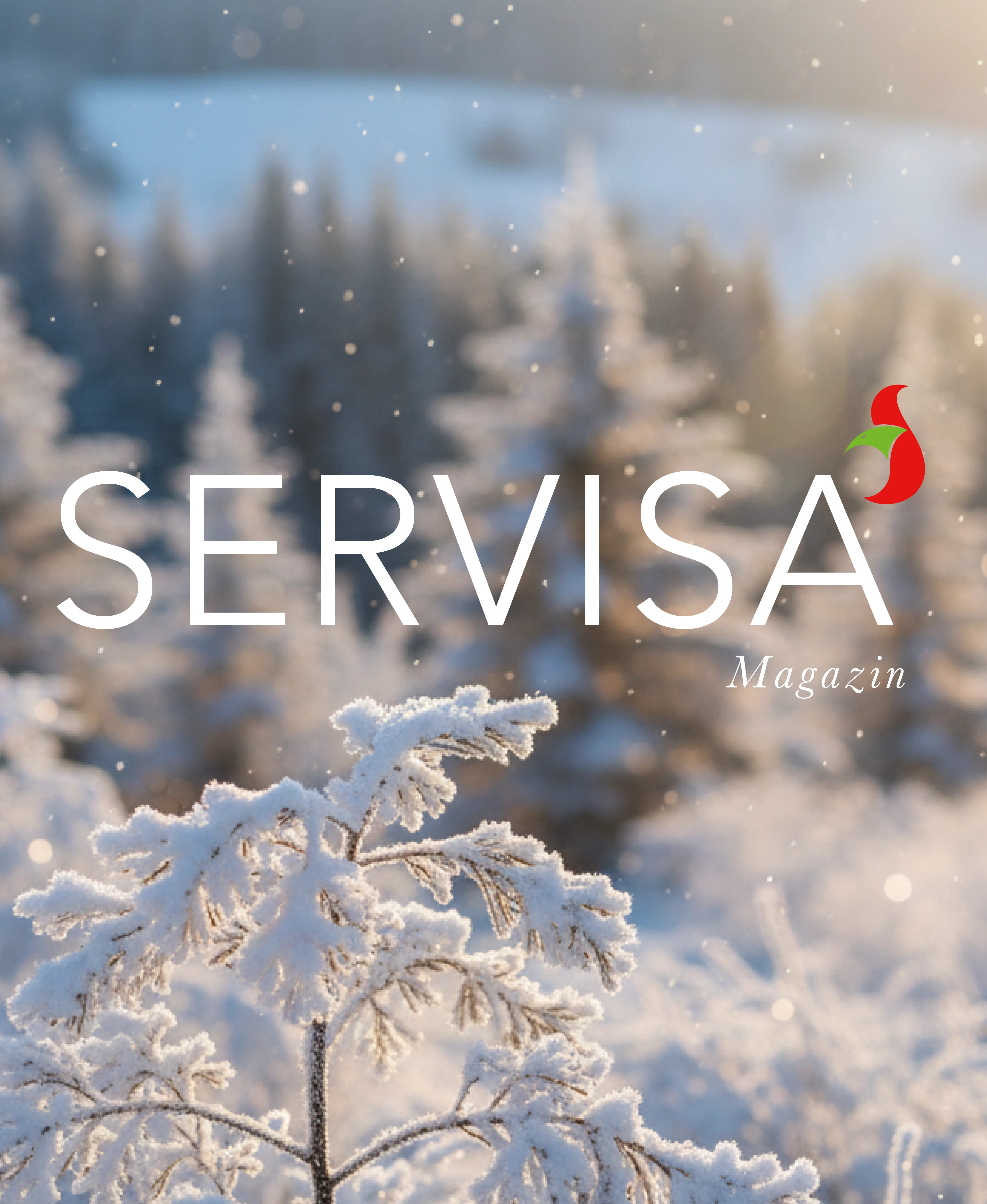 Servisa Banner Servisa Banner